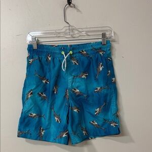 Old Navy Blue and Gray Swim Trunks with Nautical Theme
